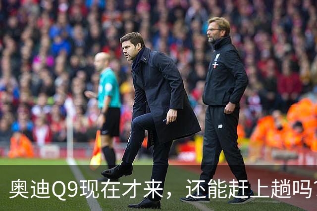奥迪Q9现在才来，还能赶上趟吗？
