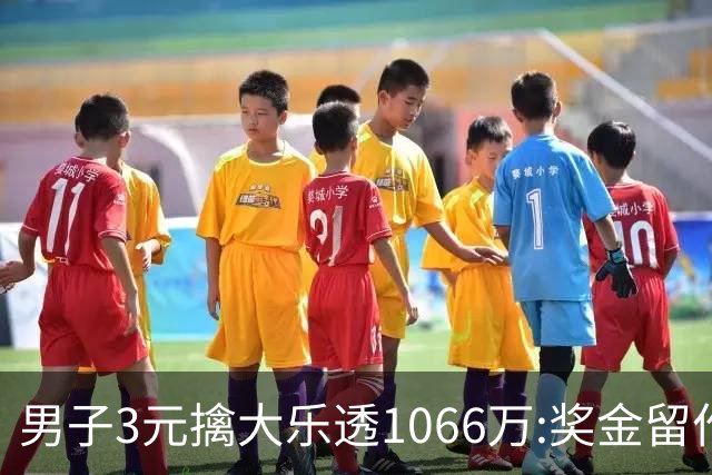 男子3元擒大乐透1066万:奖金留作家庭长期保障-票